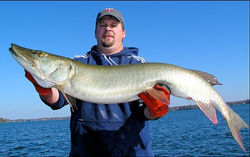 Man on minnetonka muskie