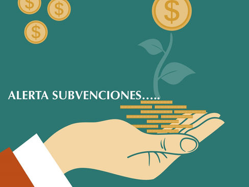 Ayudas al fomento del emprendimiento a través del trabajo colaborativo.