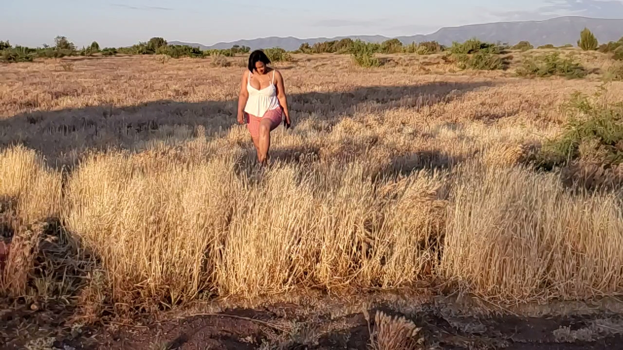 Writer: anyascornerstone3