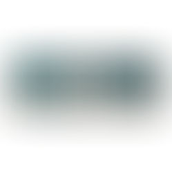 Washington SmartCEO Future 50 Award