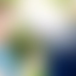 Entdecke Tai Chi und Dich selbst