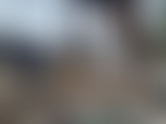 Nächste Baustellenbesichtigung im Februar 2025 geplant