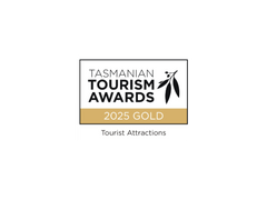 Tasmanian Tourism Awards 2025 Gold Tourist Attractions logo