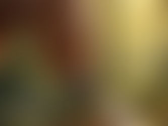 Forecast for Rat zodiac in 2026.