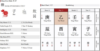 Bazi Chart