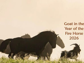 Forecast for Goat zodiac in 2026.