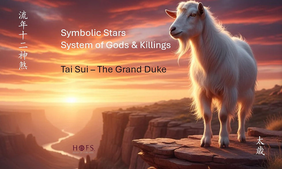 Tai Sui 太歳 The Grand Duke and the logic behind annual fortune forecasting.