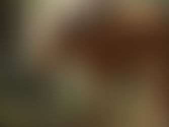 Forecast for Snake zodiac in 2026.