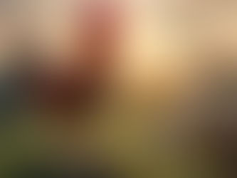 Forecast for Rooster zodiac in 2026.