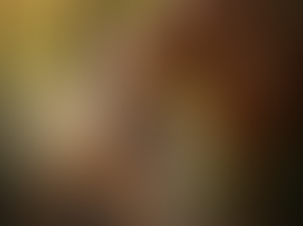 Forecast for the Tiger zodiac in 2026.