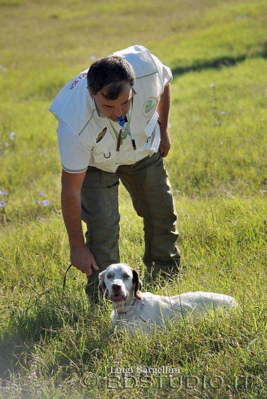 Immagine di un uomo ed il suo cane da caccia durante una competizione
