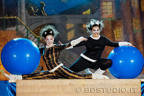 Due ballerine di danza moderna travestite da gatto con due grandi palle blu.