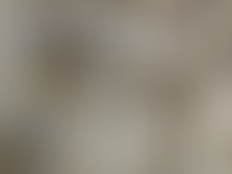 芦屋道場稽古時間変更のお知らせ