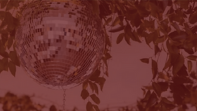 love-punch-planning-banner-weddingplanner_1_4x-8.png