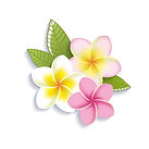 dreamstime_xl_38406142.jpg