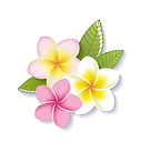 dreamstime_xl_38406142_edited.jpg