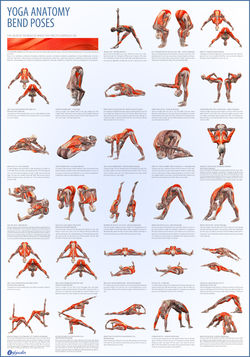 4 FB Yoga Bend Poses