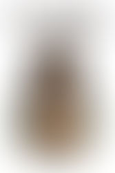 One Woman Protects Pirate Gold in Manhattan's Profitable Shadows - an Editorial Review of "The Willow"