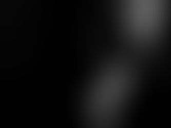 Organized Crime and Corrupt Politicians - an Editorial Review of "The Pen and the Sword"