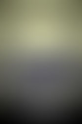 Into the Wilds of Rural Sonoma County - an Editorial Review of "Occidental: a Town Divided"