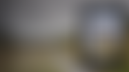 Blog Tour and Book Excerpt for "Shaking Loose the Border" by Andrea Matthews