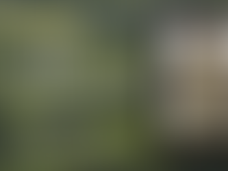 Blog Tour and Book Excerpt for "The Missionary" by Rowena Kinread