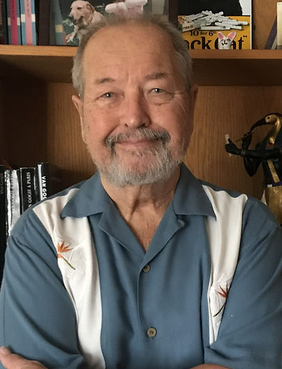 https://www.ronmeekauthor.com
