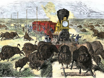 Working on the Railroad in the Old West - a Guest Post