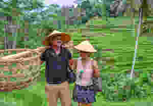 Tegalalang rice field