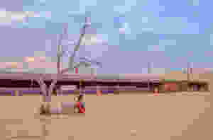 Desert safari in Abudhabi