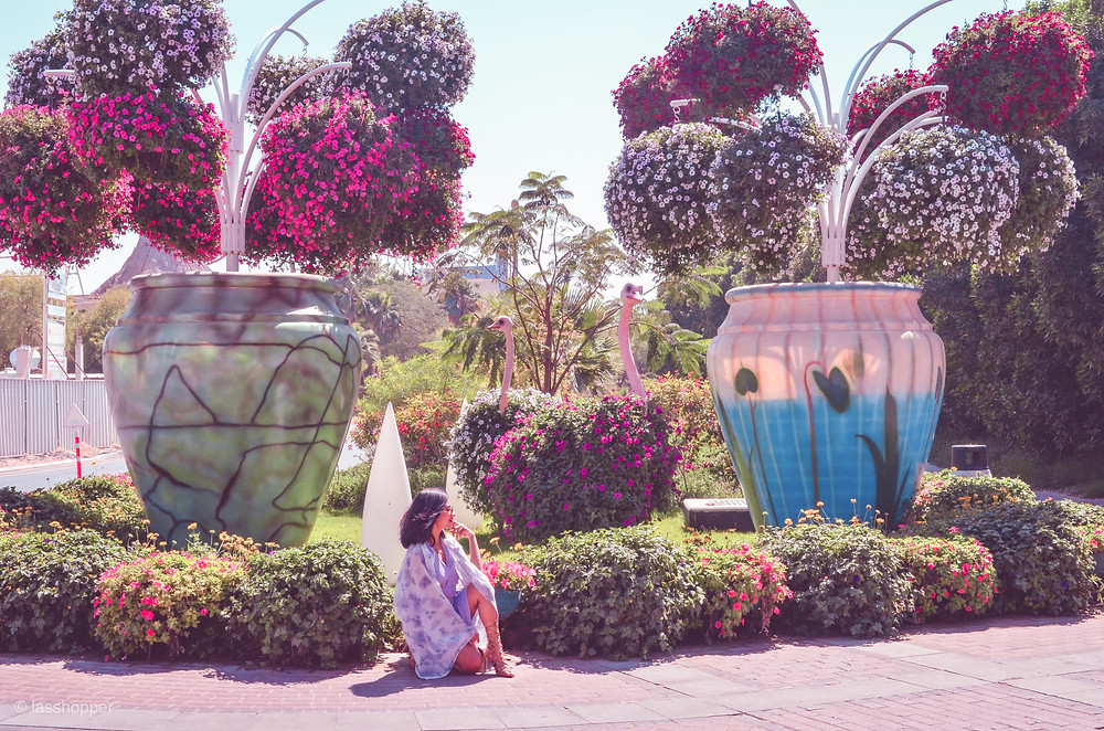 Miracle garden, Dubai