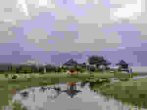 Pura Ulun danu