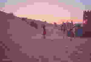 desert safari