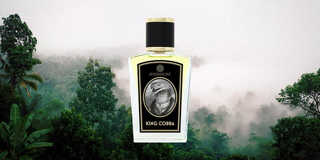 Zoologist Welcomes a Cobra to Their Kingdom | HALOSCOPE