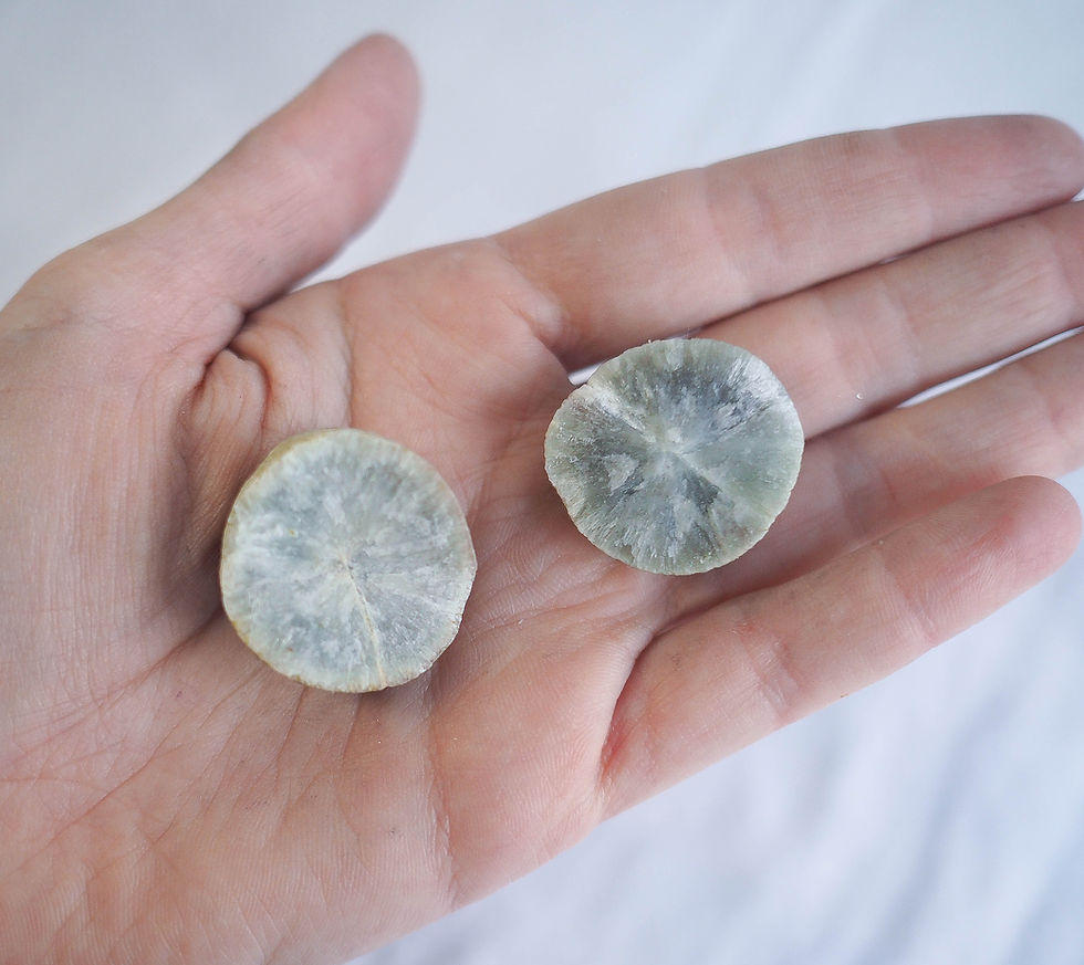 Miniatura: Prehnite