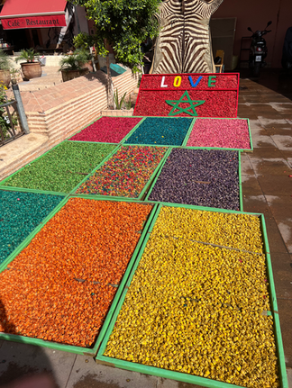 Shopping the spice souks in Medina, Marrakech, Morocco