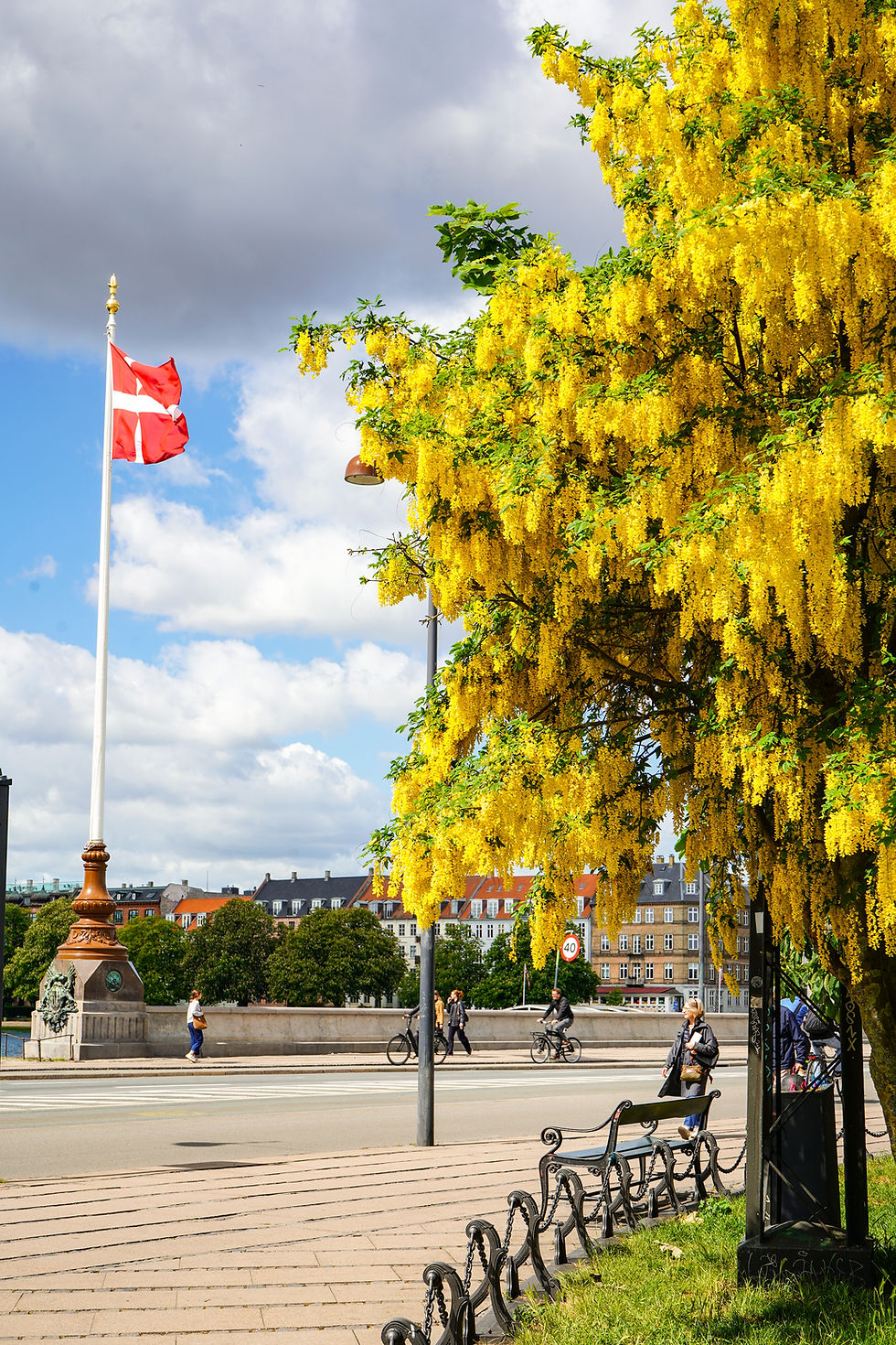 Yellow trees and Danish flag along the river in Copenhagen, Denmark