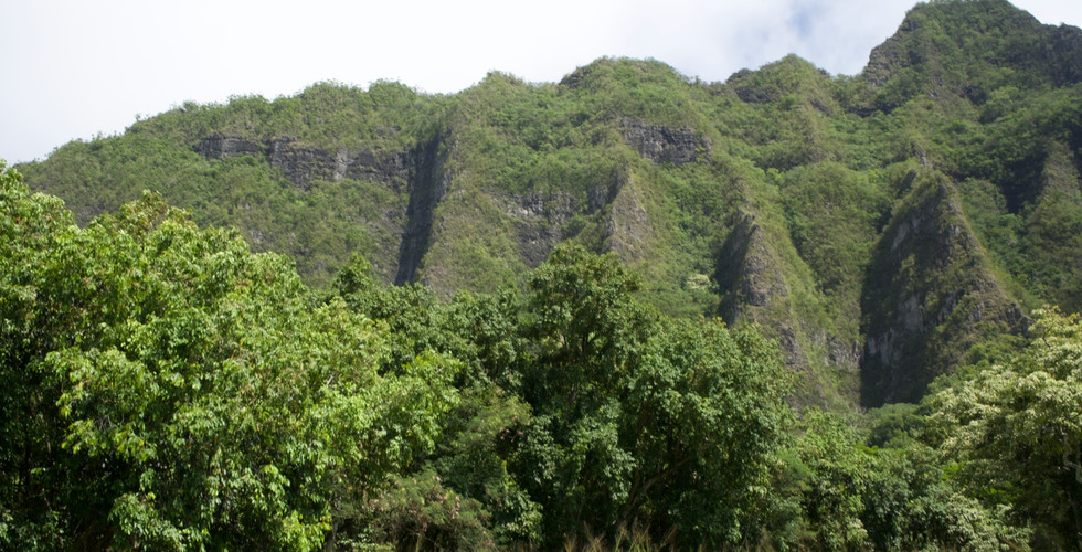 Kuala Ranch Tour in North Shore, Oahu, Hawaii