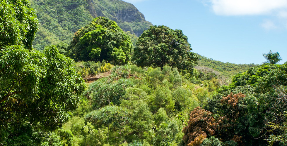 Kuala Ranch Tour in North Shore, Oahu, Hawaii