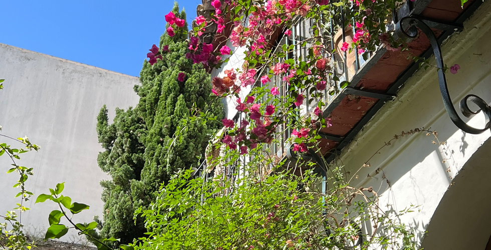 Cordoba Patio Festival in Cordoba, Spain