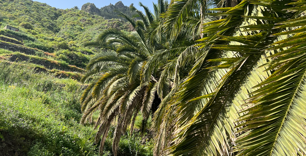 Taganana - Tamadite Beach hike in the Anaga Mountains, Tenerife, Canary Islands