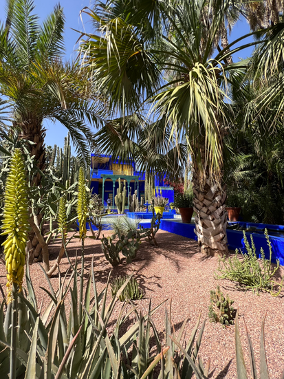 Jardin Majorelle in Marrakech, Morocco