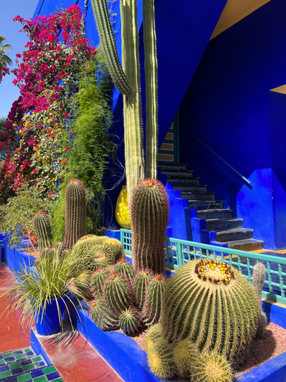 Jardin Majorelle in Marrakech, Morocco