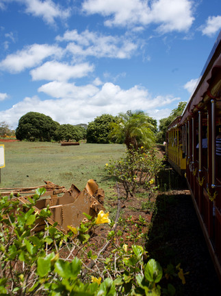 Dole Plantation in Oahu Hawaii