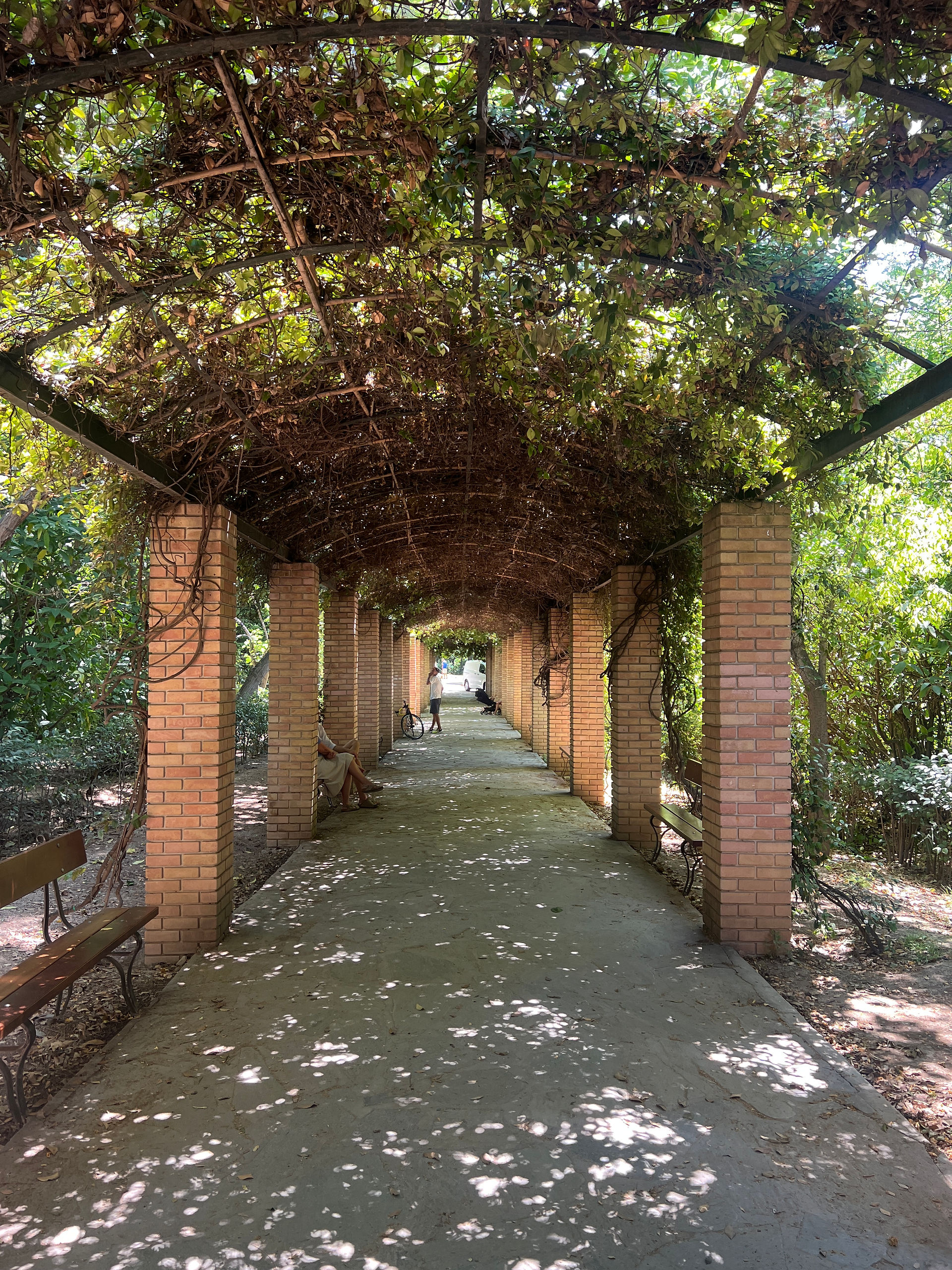 Canopy in Parliament Gardens