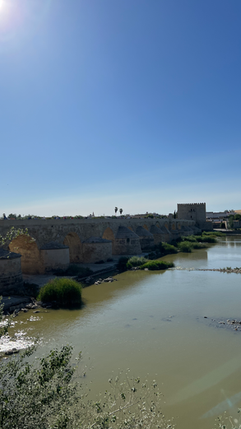 Roman Bridge in Cordoba, Spain