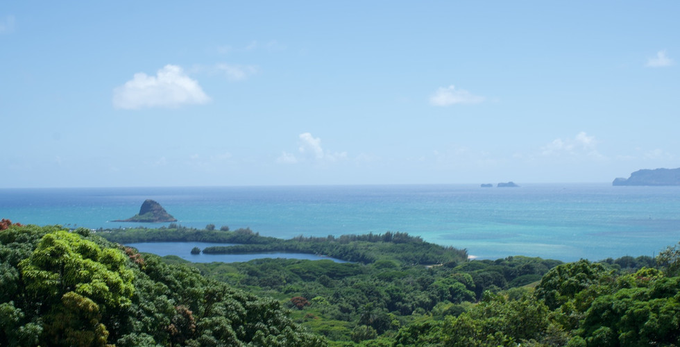 Kuala Ranch Tour in North Shore, Oahu, Hawaii