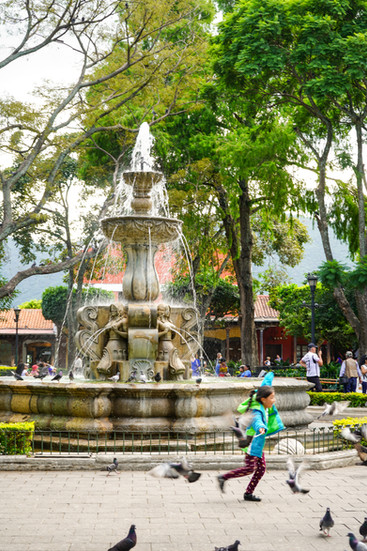 Wandering around Antigua