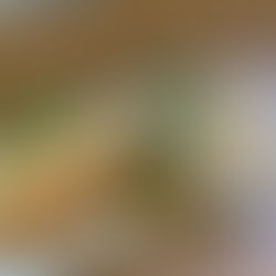 Ho Chi Minh City Day 1, A Foodie Tour