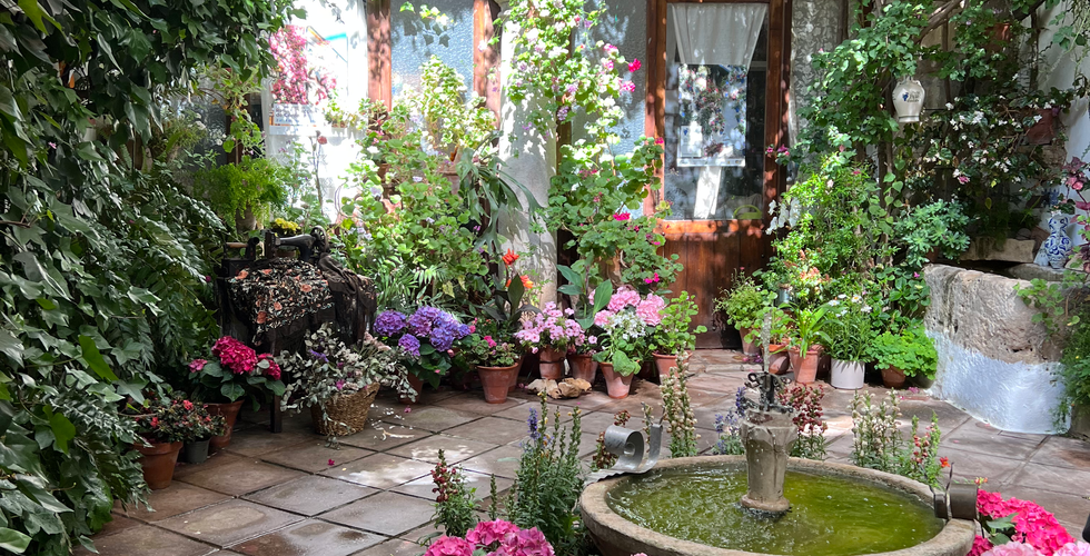 Cordoba Patio Festival in Cordoba, Spain